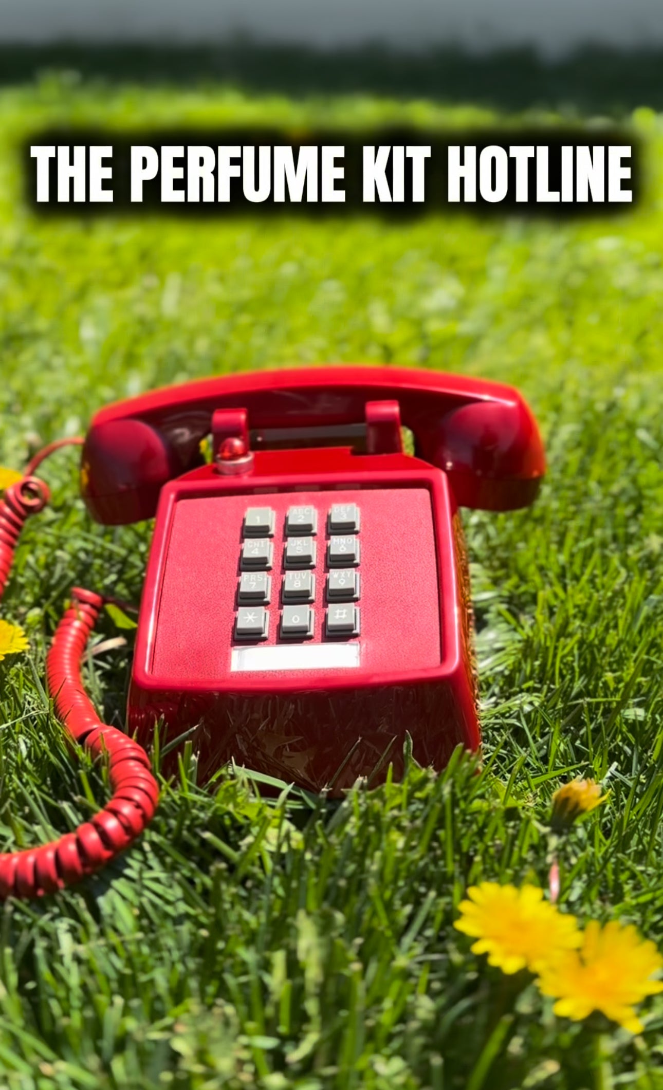 Spring’s Limited Edition Kit’s